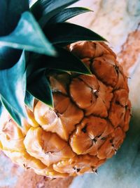 Close-up of orange rose