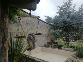 Potted plants hanging by tree outside building