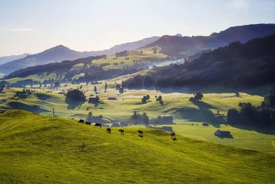 Scenic view of landscape against sky