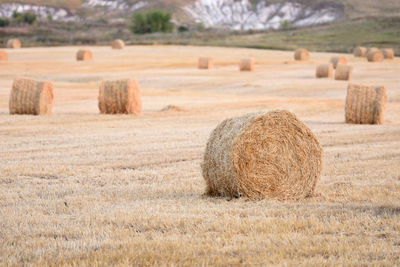 Hay bales on field