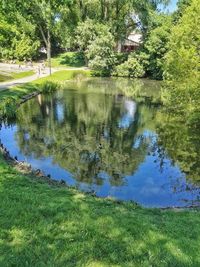 Scenic view of lake amidst trees