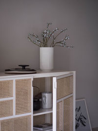 Potted plant on table at home