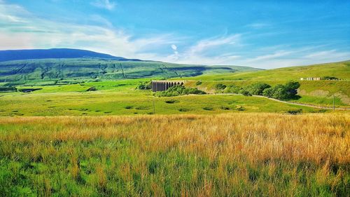 Ribblehead viaduct north yorkshire uk