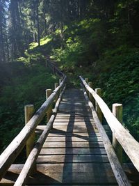 Wooden footbridge in forest