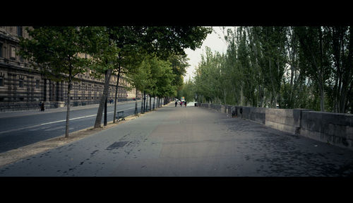 Trees along footpath