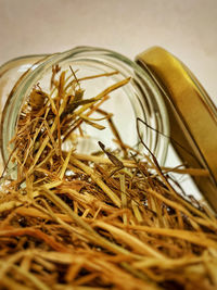 Close-up of dry grass