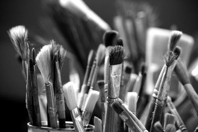 Close-up of paintbrushes
