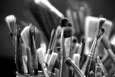 Close-up of paintbrushes