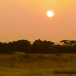 Scenic view of landscape at sunset