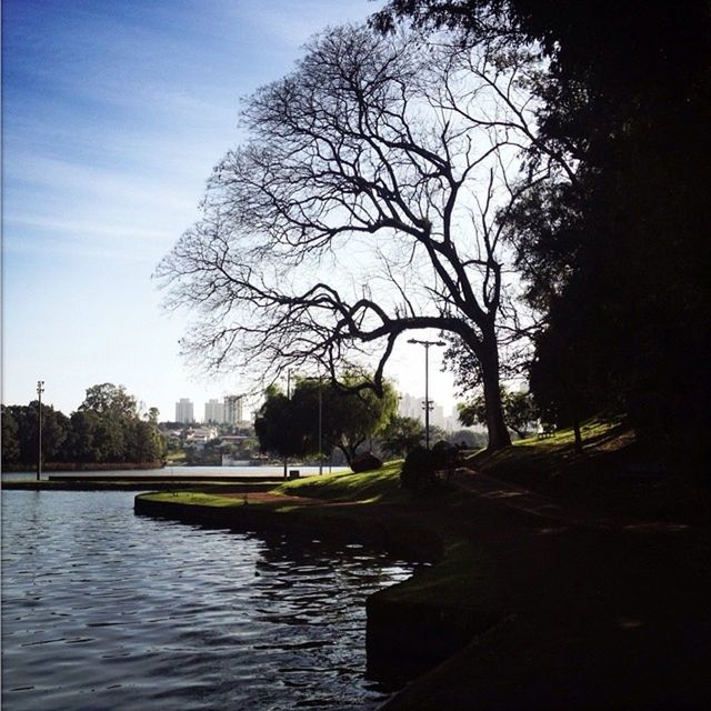 tree, water, sky, bare tree, river, branch, building exterior, built structure, tranquility, lake, architecture, nature, tranquil scene, waterfront, rippled, sunlight, beauty in nature, canal, scenics, no people