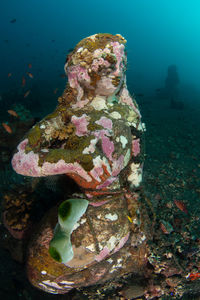 Rock formations in sea