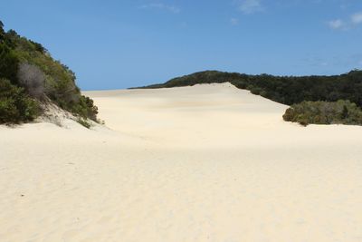 land