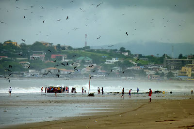 Birds flying over beach against sky