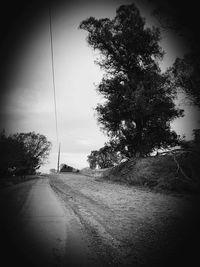 Road by trees on field against sky