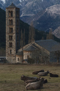 Building on field with mountain in background