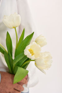 Close-up of flowers