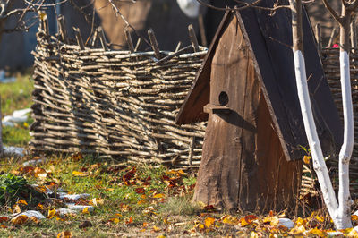 Old wooden house for bees.