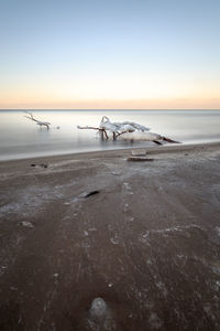 Scenic view of sea at sunset