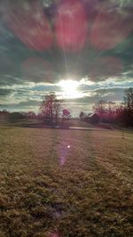 Sun shining through trees on field