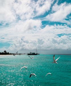 Birds flying over sea against cloudy sky