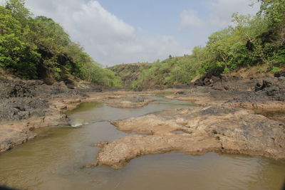 Scenic view of river amidst trees against sky