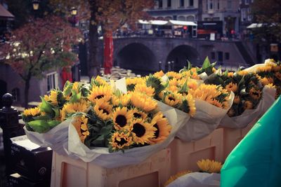 Close-up of yellow flower pot for sale