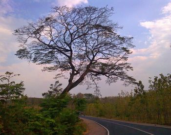 Country road passing through landscape