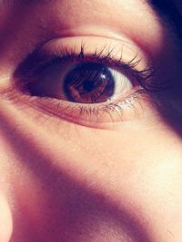 Extreme close up of human eye