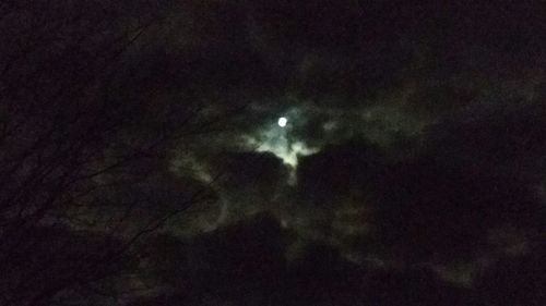 Low angle view of illuminated tree against sky at night