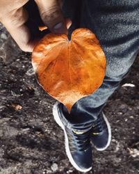 Low section of person holding autumn leaves