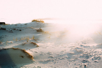 Scenic view of landscape against clear sky during winter