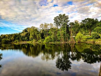 Reflection of trees in lake against sky