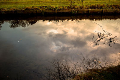 Reflection of trees in lake against sky