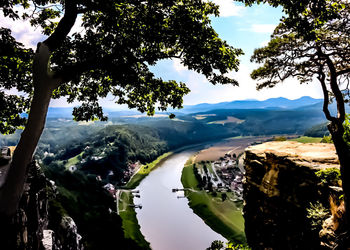 Scenic view of river amidst trees against sky