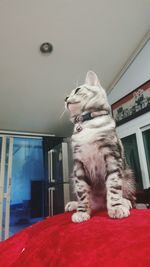 Low angle view of built structure