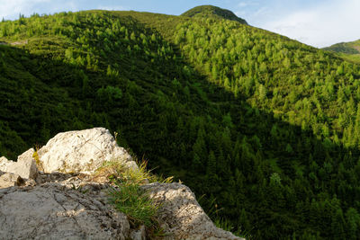 Scenic view of green landscape against sky