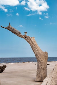Driftwood on wooden post by sea against sky