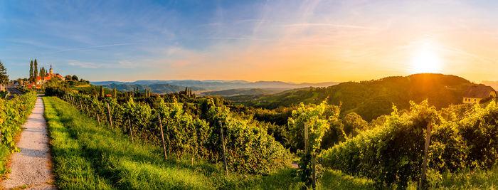 Scenic view of field against sky during sunset