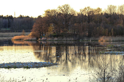 Scenic view of lake