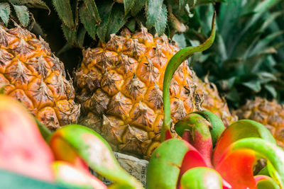 Close-up of fruits for sale in market