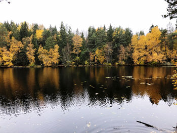 Scenic view of lake by trees against clear sky