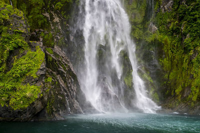 Scenic view of waterfall in forest