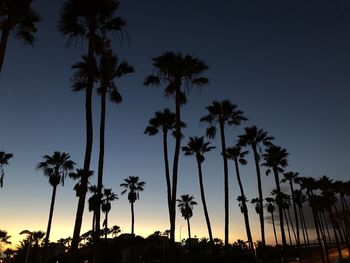 Silhouette palm trees against sky during sunset