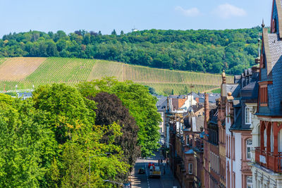 High angle view of trees and buildings in city