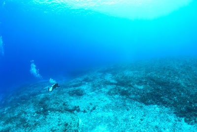 People swimming in sea