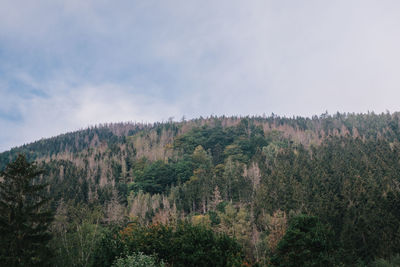 Trees and plants growing on land against sky