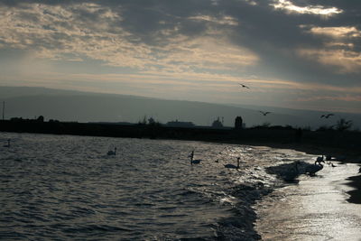 Seagulls flying over sea against sky