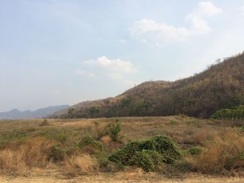 Scenic view of landscape against sky