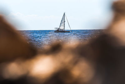 Sailboat sailing on sea against sky