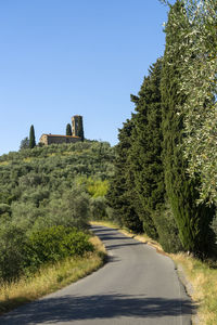 Road amidst trees against clear sky